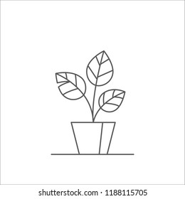 Houseplant editable line vector illustration - outline indoor plant with three big leaves in flowerpot. Abstract decorative potted flower isolated on white background..
