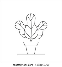 Houseplant editable line vector illustration - outline indoor plant with three big leaves in flowerpot isolated on white background. Abstract decorative potted flower.