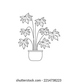 Houseplant Fatsia japonica, doodle, potted flower, simple drawing