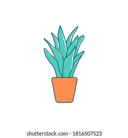 Houseplant flat color vector object. Indoor plant in holder. Urban exotic greenery for apartment. Potted office greenery isolated cartoon illustration for web graphic design and animation