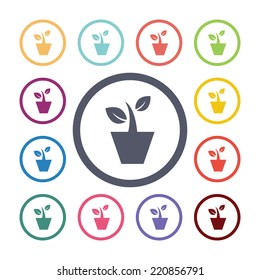 houseplant flat icons set. Open round colorful buttons. Vector 