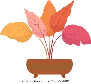 : Houseplant flat illustrations vector. Trendy potted plants for home. Pink, oranges plant in a flower pot for cozy decoration of home, garden, veranda, balcony, terrace, office, living room