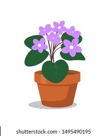 Houseplant flat vector illustration. Potted plant for office room interior isolated clipart on white background. Flower in ceramic container. Violet in flowerpot cartoon design element