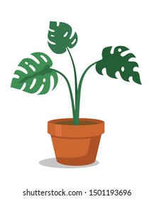 Houseplant flat vector illustration. Potted plant for office room interior isolated clipart on white background. Palm, ficus in ceramic container. Monstera in flowerpot cartoon design element