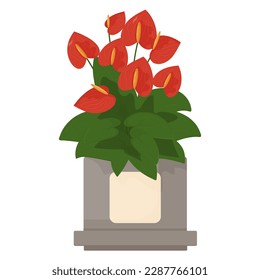 Houseplant flat vector illustration. Potted plant for office room interior isolated clipart on white background. Palm; ficus in ceramic container. Anthurium in flowerpot cartoon design element.