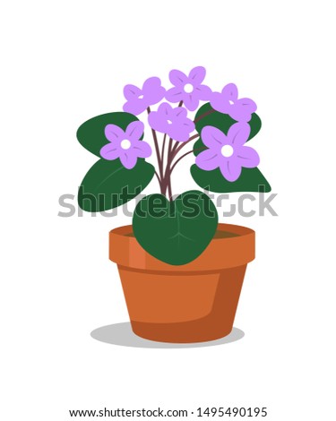 Houseplant flat vector illustration. Potted plant for office room interior isolated clipart on white background. Flower in ceramic container. Violet in flowerpot cartoon design element