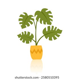 Houseplant in the flower pot isolated on white. Concept of indoor greenery, home decor, nature, botanical design, ecology, care, growth and sustainability. Vector hand drawn clipart.