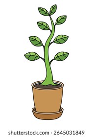 Houseplant in a flowerpot, ficus - vector full-color picture. Plant in a flowerpot for interior decor.