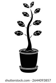Houseplant in a flowerpot, ficus - vector silhouette image for logo, pictogram or stencil. Plant in a flowerpot for stencil.