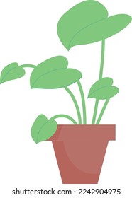 Houseplant in flowerpot. Green plant. House decoration icon isolated on white background