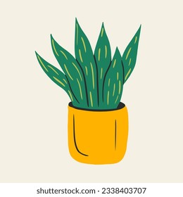 Houseplant in a flowerpot. Sansevieria in yellow pot. Decorative home plant isolated on white background.