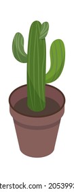 Houseplant green cactus in pot isolated on white. Vector houseplant cactus, vector flower garden green, cartoon succulent cacti illustration