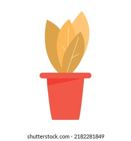 Houseplant growing in pot semi flat color vector object. Home decor. Exotic plant. Full sized item on white. Garden simple cartoon style illustration for web graphic design and animation