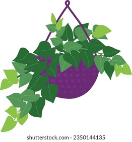 houseplant with hanging basket isolated icon vector illustration design 