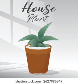 Houseplant home garden gardening plant lover houseplant store