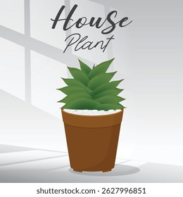 Houseplant home garden gardening plant lover houseplant store