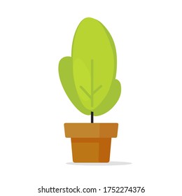 Houseplant or house plant in pot vector icon isolated on white background