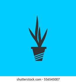 Houseplant icon flat. Simple vector black pictogram on blue background