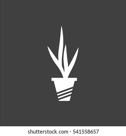 Houseplant icon flat. Vector white illustration isolated on black background. Flat symbol