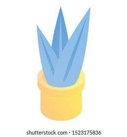 Houseplant icon. Isometric of houseplant vector icon for web design isolated on white background