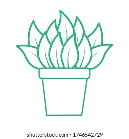Houseplant icon. Outline houseplant icon vector for web design isolated on white background