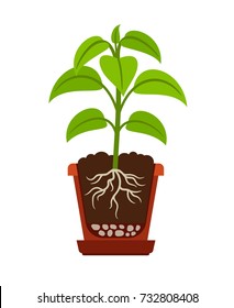 Houseplant icon showing roots in flower pot. Vector illustration2