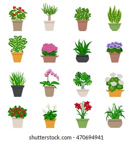 Iconos de plantas domésticas con plantas y flores ilustraciones vectoriales aisladas 