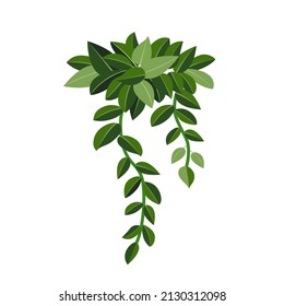 Houseplant ivy for interior decoration. Vector illustration of home flowers. Trendy home decor with plants, urban jungle.