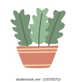 Houseplant with large leaves in flowerpot isolated object. Indoor plant, clipart vector illustration. Isolated foliage plant for room, office and apartment decor