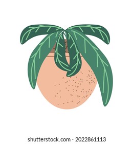 houseplant leaves decoration icon isolated