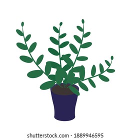 Houseplant with leaves in the pot vector illustration eps. 10