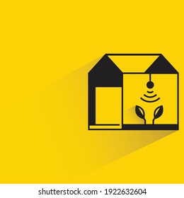 houseplant and light control with shadow on yellow background