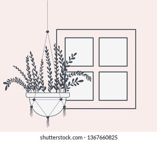 houseplant in macrame hanger with window