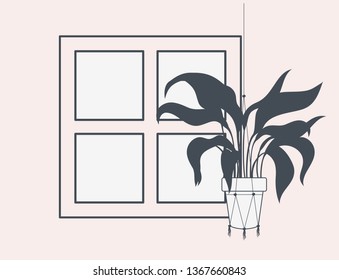 houseplant in macrame hanger with window