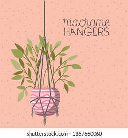 houseplant in macrame hangers