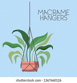 houseplant in macrame hangers