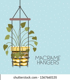 houseplant in macrame hangers