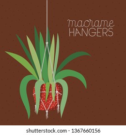houseplant in macrame hangers