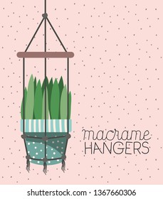 houseplant in macrame hangers