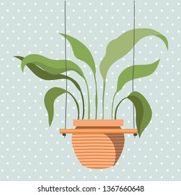 houseplant in macrame hangers