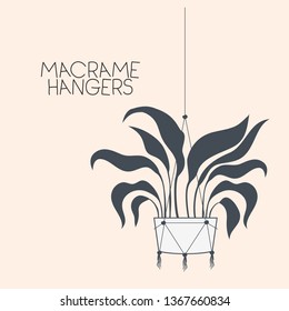 houseplant in macrame hangers