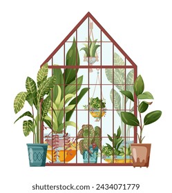 Houseplant and macrame plant growing in hothouse. Greenhouse and macrame plants isolated on white background. Cartoon flat illustration