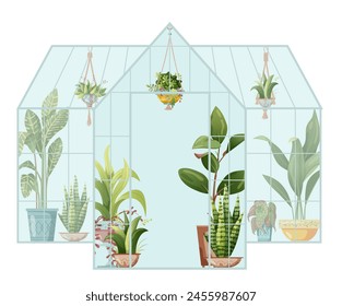 Houseplant and macrame plant growing in hothouse. Greenhouse and macrame plants isolated on white background. Cartoon flat illustration