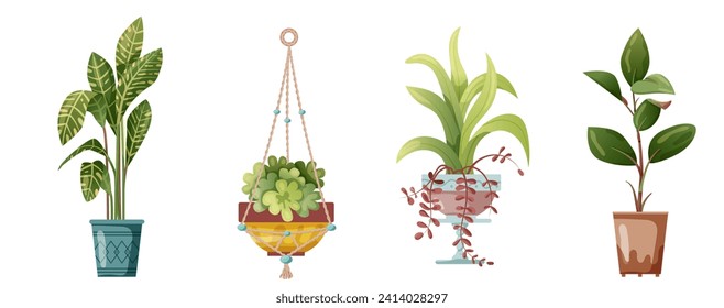 Houseplant and macrame plant growing in pots. Set of handmade home decorations macrame plants isolated on white background. Cartoon flat illustration.