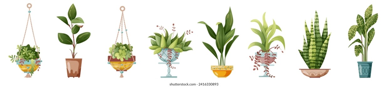 Houseplant and macrame plant growing in pots. Set of handmade home decorations macrame plants isolated on white background. Cartoon flat illustration