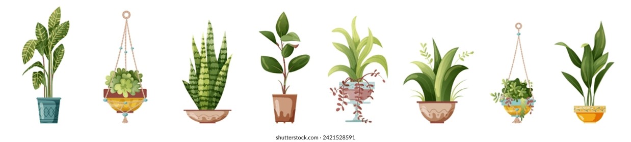 Houseplant and macrame plant growing in pots. Set of handmade home decorations macrame plants isolated on white background. Cartoon flat illustration