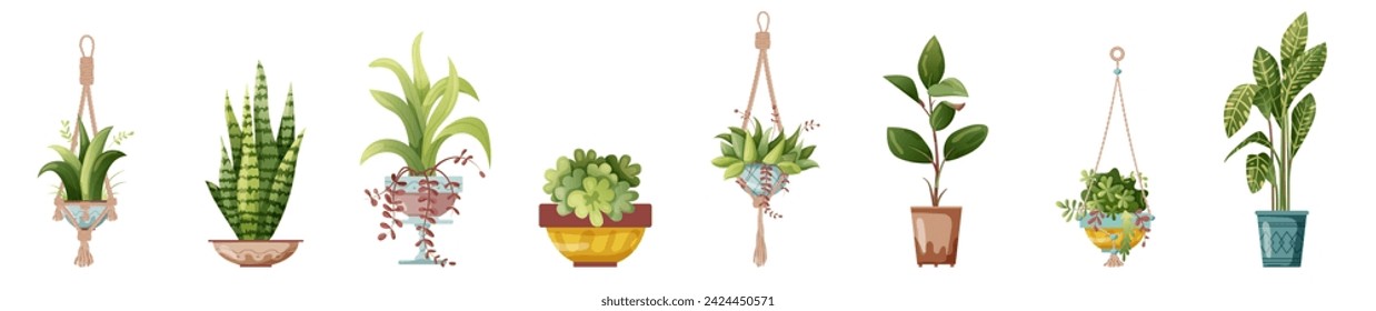 Houseplant and macrame plant growing in pots. Set of handmade home decorations macrame plants isolated on white background. Cartoon flat illustration