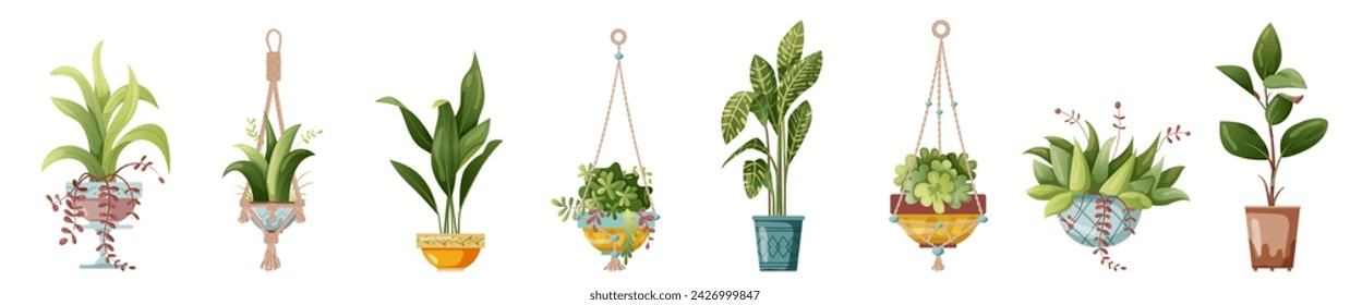 Houseplant and macrame plant growing in pots. Set of handmade home decorations macrame plants isolated on white background. Cartoon flat illustration