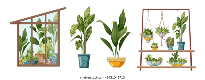 Plantas domésticas y macramé que crecen en macetas. Invernadero, estante de flores y plantas de macramé aisladas sobre fondo blanco. Ilustración plana de dibujos animados