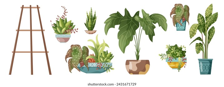 Houseplant and macrame plant growing in pots. Set of handmade home decorations macrame plants and flower rack isolated on white background. Cartoon flat illustration